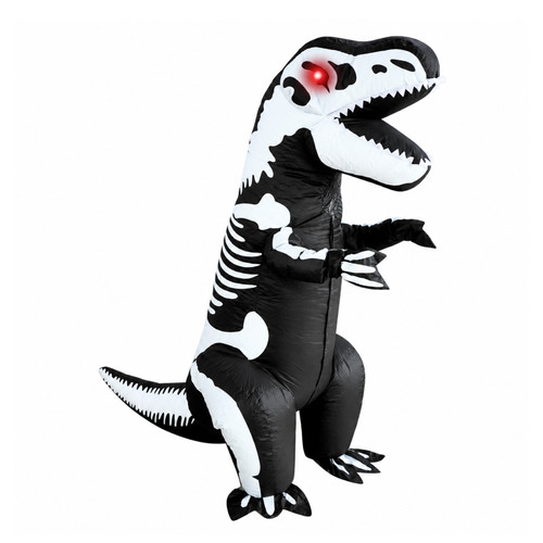 Pts inflatable costume - inflatable,