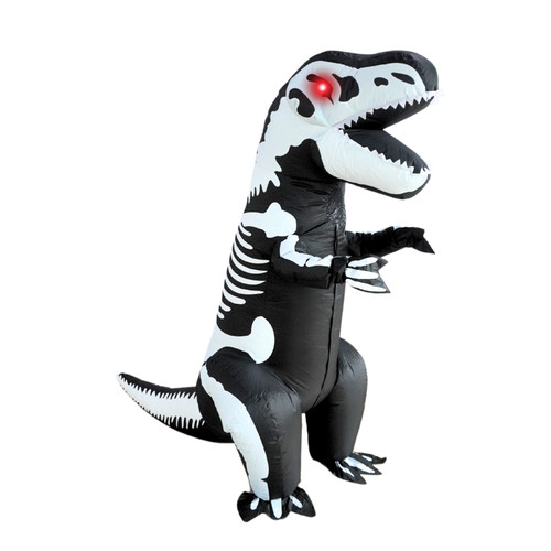 Pts inflatable costume - inflatable,